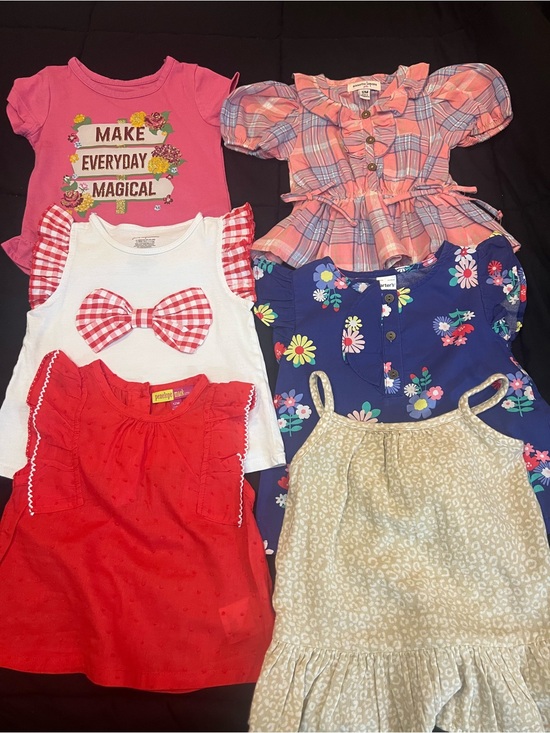 Okie Dokie, Carter’s, Etc Other - Bundle (6) of Toddler Girls Tops, Tanks Blouses.